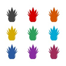 Aloe Vera Color Icon Set Isolated On White Background