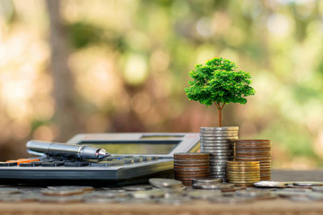 Plant trees on coins and calculators, financial accounting concepts and save money.