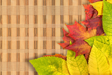 Wall Mural - autumn leaves.