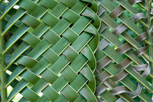 Beautiful Green Weave Coconut Leaves For Background