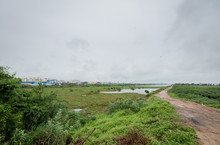 Green Landscape With Lake And Dirt Road Outside Of Chennai, India On A Cloudy Day