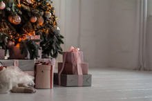 Gifts Boxes Under Decorated Christmas Tree In White Interior, Background
