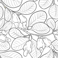 Canvas Print - cashew vector pattern