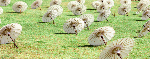 Wall Mural - Beautiful umbrellas are on the ground neatly lined up in a direction, selectively focused