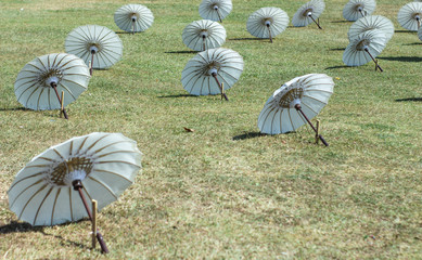 Wall Mural - Beautiful umbrellas are on the ground neatly lined up in a direction, selectively focused