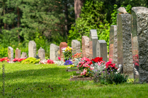 Fotografía Curved row of grave stones with red and pink flowers