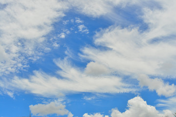 Natural blue sky with cloud closeup or background.