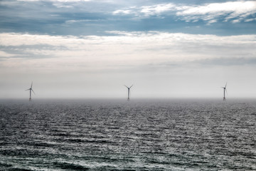 Wall Mural - Wind turbines in the middle of the ocean
