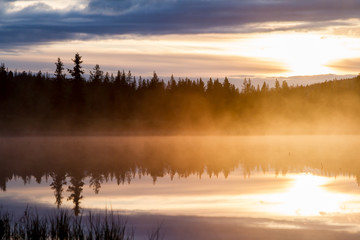 Russian northern landscape. Kola Peninsula, the Arctic. Murmansk region. Swamp with morning haze at sunrise