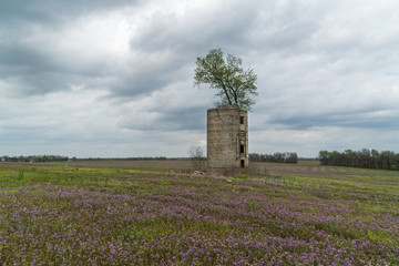 grain tree silo