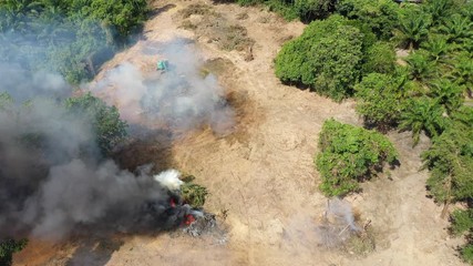 Wall Mural - Deforestation and fire. Rainforest is cut down and burned to make way for agricultural land	