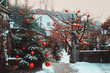 Very beautifully decorated Christmas trees in a huge number of large bright red balls, Salzburg, Austria.Christmas trees with red Christmas balls against the background of the winter Salzburg.