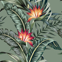 Tropical Vintage Strelitzia Floral Palm Leaves Seamless Pattern Green Background. Exotic Jungle Wallpaper.