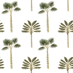 Tropical vintage botanical green palm tree floral seamless pattern white background. Exotic jungle wallpaper.