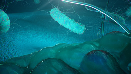 Wall Mural - viruses causing infectious diseases, decreased immunity. concept of viral disease. virus abstract ba