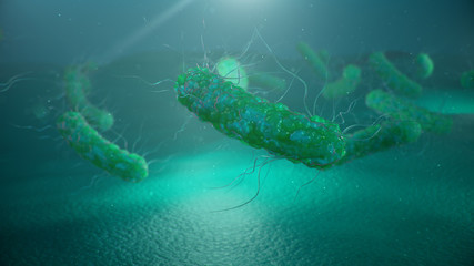 Wall Mural - viruses causing infectious diseases, decreased immunity. concept of viral disease. virus abstract ba
