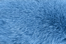 Blue Fur Background