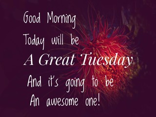 Image with wordings or quotes about tuesday 