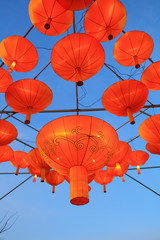 Wall Mural - Chinese traditional festive lantern