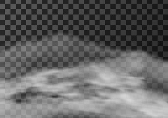 Wall Mural - fog or smoke realistic texture vector illustration. white steam cloud or mist on a dark transparent 