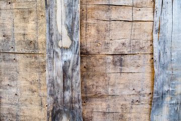 texture of old wood