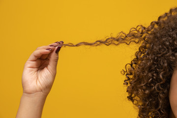 Close-up American African woman pulling a lock of hair. Curly hair on yellow background.