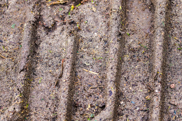 Wall Mural - Detailed close up view on dry agricultural grounds and acre in high resolution