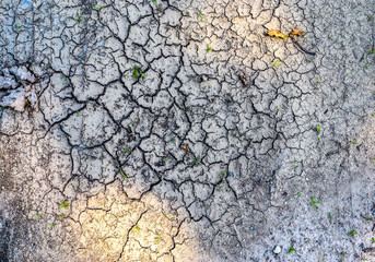 Wall Mural - Detailed close up view on dry agricultural grounds and acre in high resolution