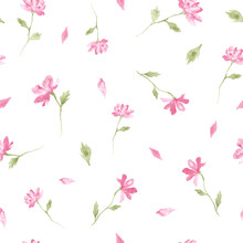 Pink Little Flowers Blossom Watercolor Painting - Hand Drawn Seamless Pattern On White Background