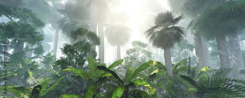 coconut-jungle-in-the-morning-in-the-fog-forest-in-the-haze-3d-rendering