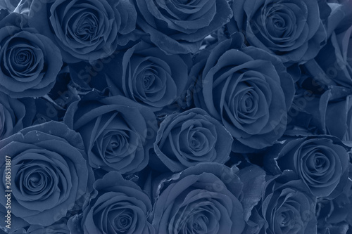 bouquet of dark red roses