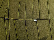Aerial View Of Rice Fields