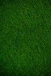GREEN GRASS MAT BACKGROUND TEXTURE FRESH GREEN
