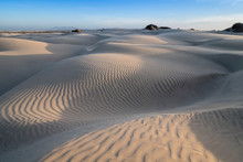 Patterns In The Dunes At Sand Dollar Beach, Magdalena Island, Baja California Sur, Mexico