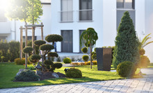 Beautiful Modern Flowerbed With Coniferous Bushes And A Bonsai Tree On The Background Of The Exterior Of A House In A European City