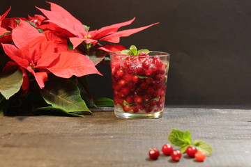 Wall Mural - Christmas cocktail ice drink with fresh cranberries and mint on black background with poinsettia flower and copy space