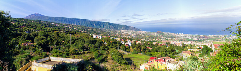 Canvas Print - Volcano of Tenerife - view from with forest