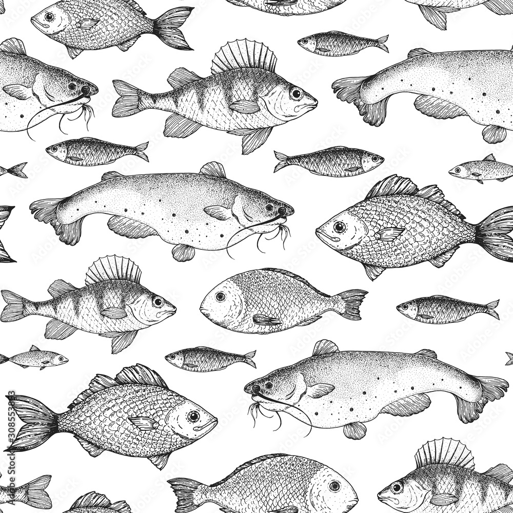 Fish seamless pattern. Hand drawn vector illustration. Seafood vector illustration. Food menu illustration. Hand drawn. Engraved style. - obrazy, fototapety, plakaty 