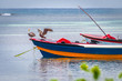 Two pelican birds perched on front end of empty colorful fishing boat docked at sea harbor off the coast of tropical rural village. Countryside scene in Caribbean coastal town on clear summer morning.