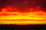 Fototapeta  - Fiery sunset sky in Central Victoria with power line structured towering along the horizon