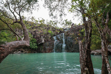 Beautiful tranquil waterhole with cascading waterfall at Cedar Creek Falls in Queensland, Australia