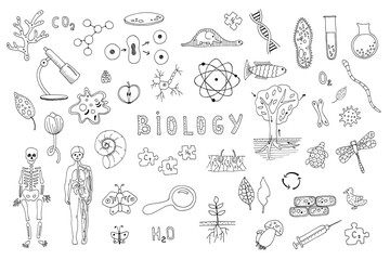 Set of objects, symbols biology lesson. Hand drawn vector illustration. Line drawing on a white background. Learning, education concept. Microbes, test tubes, human anatomy, flora and fauna.