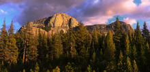 Tioga Pass Landscape In Golden Hour Time