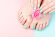 Female hands, legs with manicure and pedicure with flower on a pink, blue background, top view