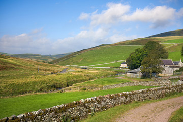 Wall Mural - Farm buildings amongst the hills of Coquetdale countryside in Northumberland, England.