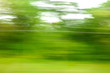 © schankz - Trees in motion as an abstract background.