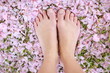 © ElenaBatkova - Human legs close up on pink flower petals background.