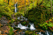 View of Komoi no Tagi waterfall in autumn season at Oirase Gorge with the colorful foliage forest and the green mossy rocks covered with the falling leaves in Towada Hachimantai National Park, Japan.