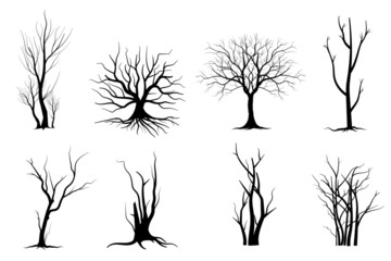 silhouette of a tree