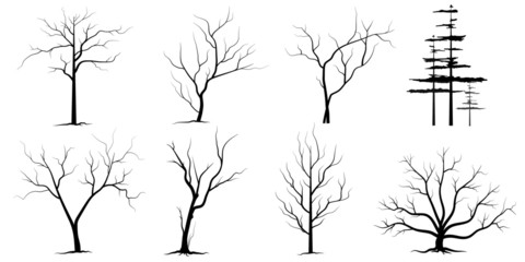 silhouette of tree on black background